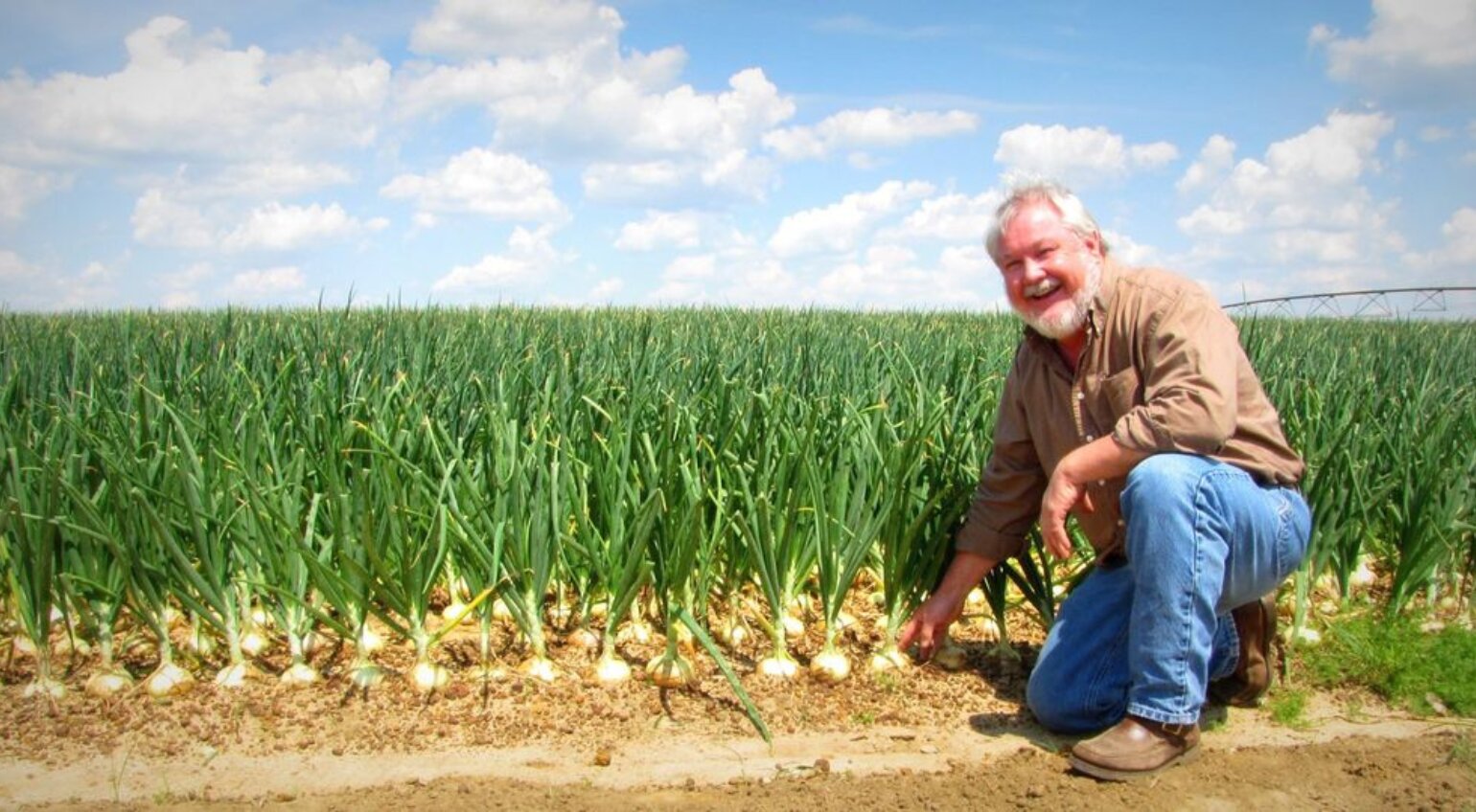 Herndon Farms