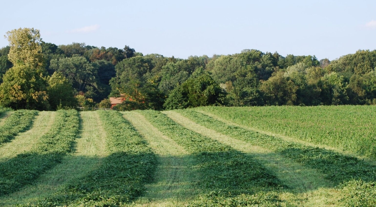 Seven Stars Farm