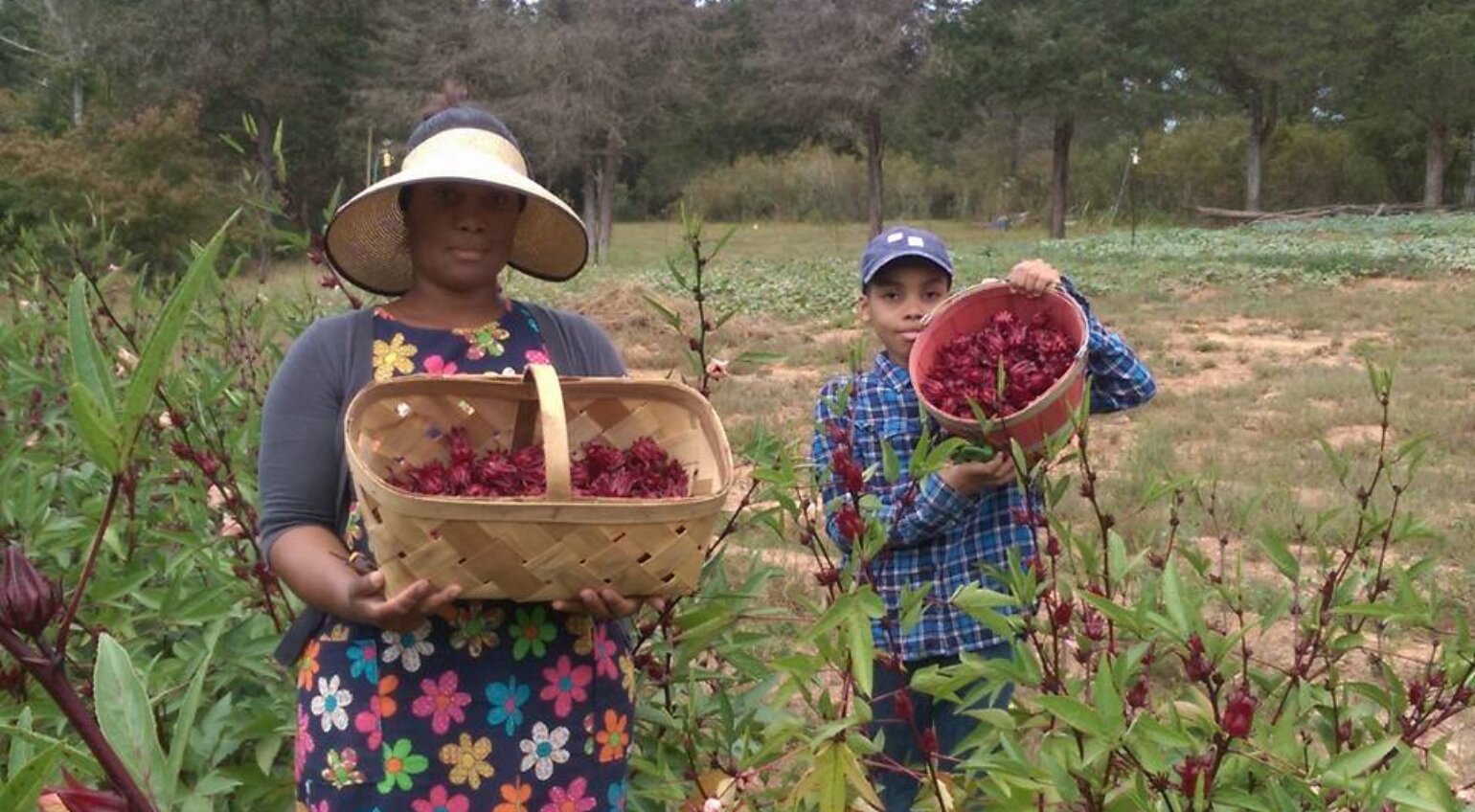 Narrow Way Farm