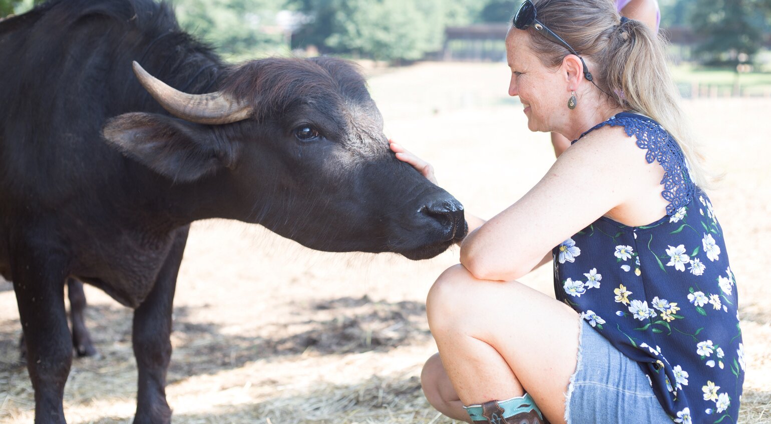 Buffalo Gal Grassfed Beauty