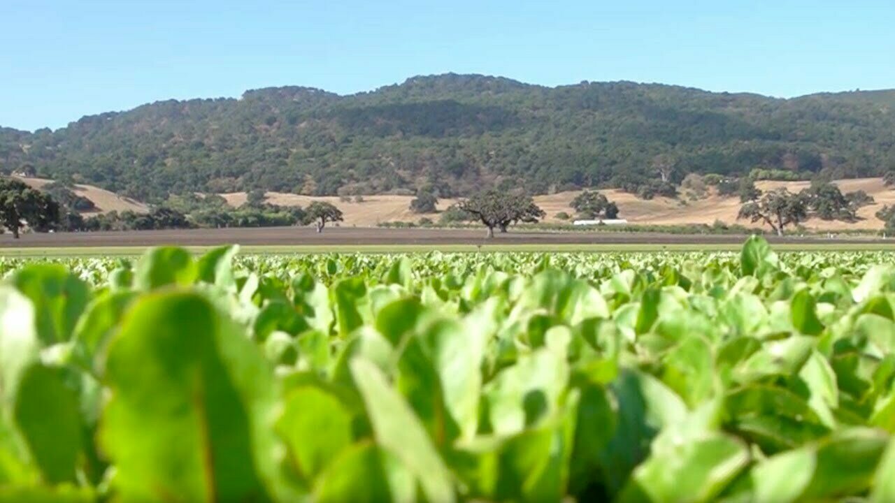 Field Fresh Farms